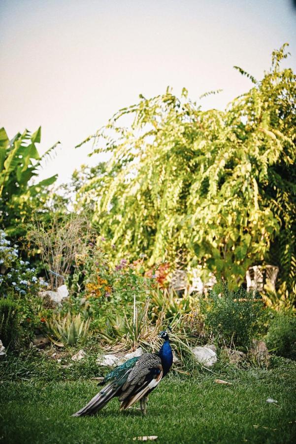 The Artist'S Farm Villa Dhiyeliotika Bagian luar foto