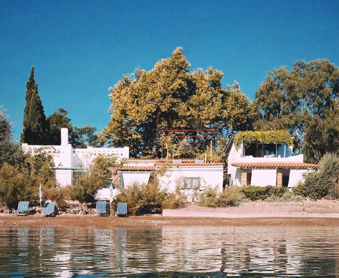 The Artist'S Farm Villa Dhiyeliotika Bagian luar foto